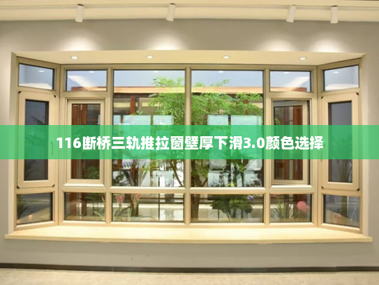 116断桥三轨推拉窗壁厚下滑3.0颜色选择